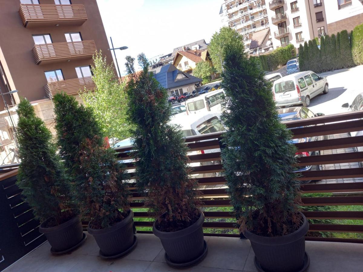 Apartman Oaza Kalman Spa-Gym Zlatibor Exteriér fotografie
